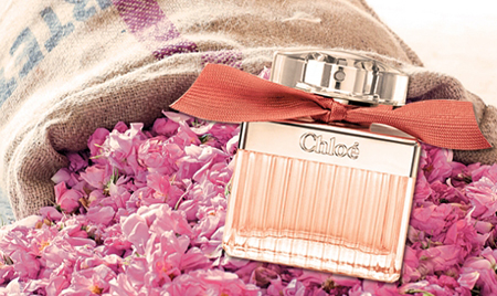 Новинка парфумерії для жінок Парфуми Roses De Chloe